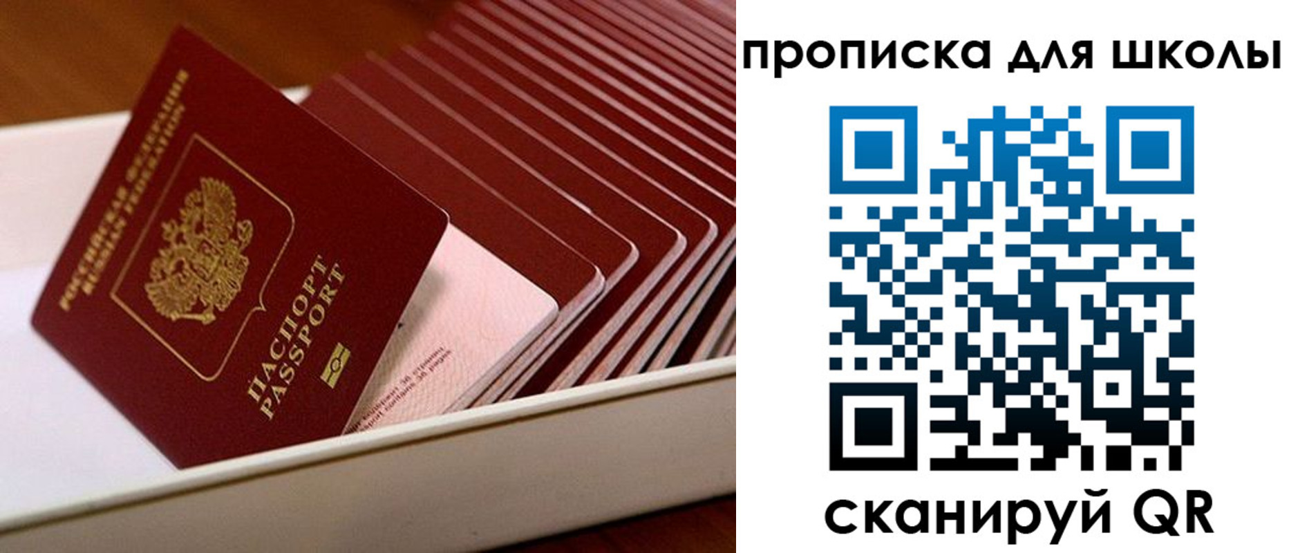 временная регистрация гарантия в Николаевске